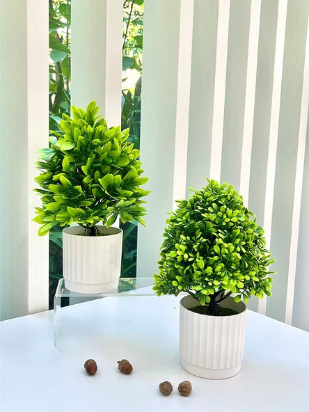 Yapay Bonsai Çizgili Saksı + Küçük Yeşil 2 - 5
