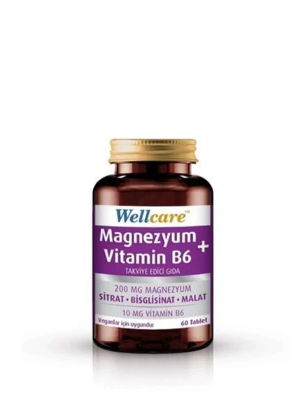 Wellcare Magnezyum + Vitamin B6 90 Tablet