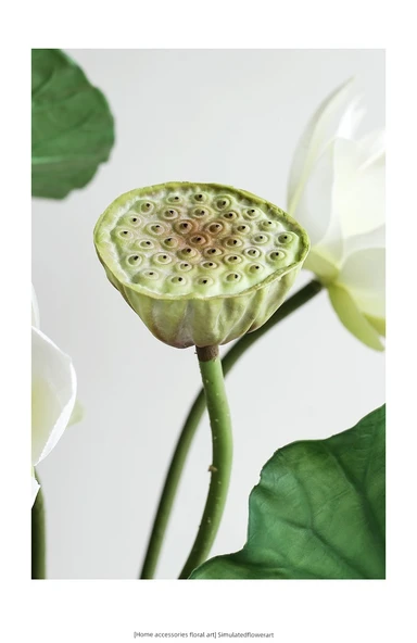 Yapay Lotus Çiçeği Aranjmanı - Yarım Açık Lotus Pembe 5'li Karışık - 11