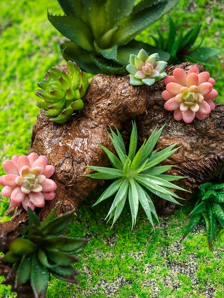 Yapay Sukulent Bitki - Ananas Kafa Yeşil Kırmızı Uçlu - Resim 5