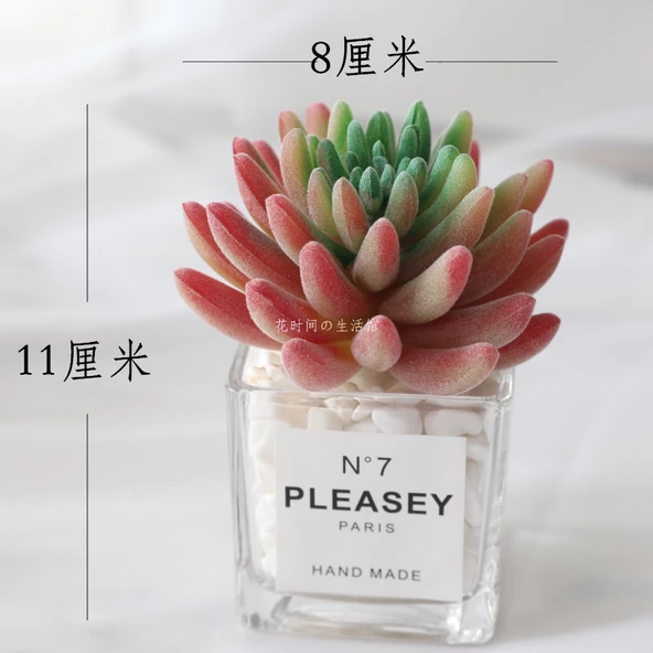 Agave Saksıda Yapay Sukulent Bitki - A Bölümü