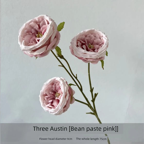 Yapay Austin Gülü Üç Başlı - Fasulye Ezmesi Moru - Resim 12