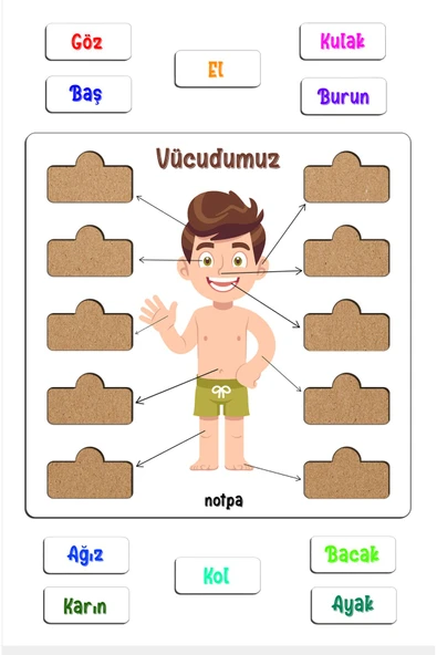 kutuTR Notpa Çocuklar İçin  Vücudumu Öpğreniyorum Eğitici Puzzle - 3