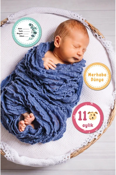 kutuTR Aylık Bebek Kartları Bebek Renkli Baskı Ay Kartları Hamile Seti 15 Kart