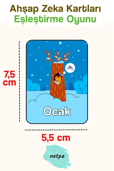 kutuTR 24 Parça Aylar Zeka Kartları Eşleştirme Oyunu Hafıza Kartı Ahşap Eğitici Puzzle Oyuncak - 3