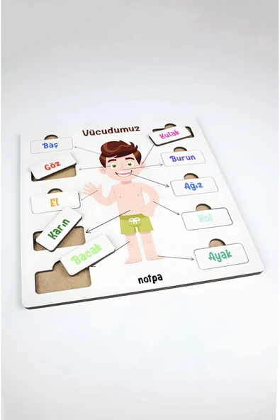kutuTR Notpa Çocuklar İçin  Vücudumu Öpğreniyorum Eğitici Puzzle - 2