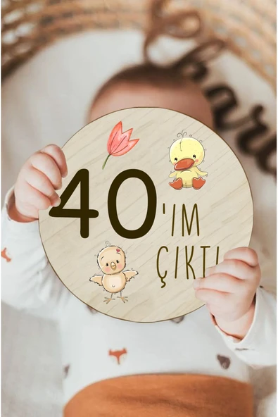kutuTR Ahşap Türkçe Aylık Plak Seti Bebek Fotoğraf Kartları Ahşap Bebek Anı Kartı Yenidoğan Hediyesi - 3