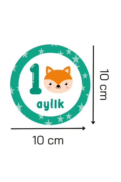 kutuTR Aylık Bebek Kartları Bebek Renkli Baskı Ay Kartları Hamile Seti 15 Kart - 4