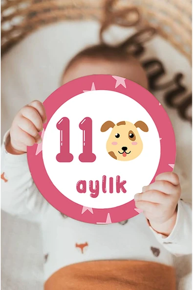 kutuTR Aylık Bebek Kartları Bebek Renkli Baskı Ay Kartları Hamile Seti 15 Kart - 2