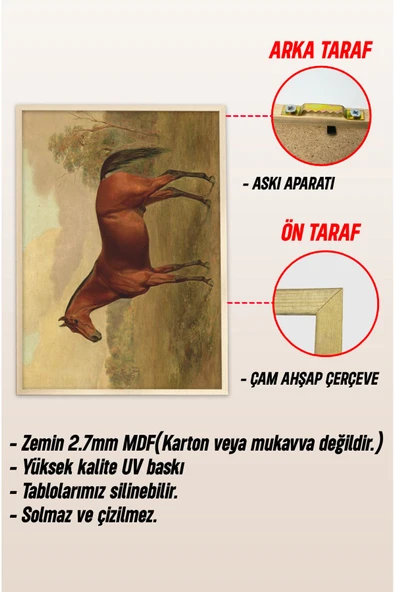 kutuTR Ahşap Çerçeveli Mdf Tek Tablo Yağlı Boya Serisi (KENDİ TABLO SETİNİZİ OLUŞTURACAĞINIZ LİSTE) - 3