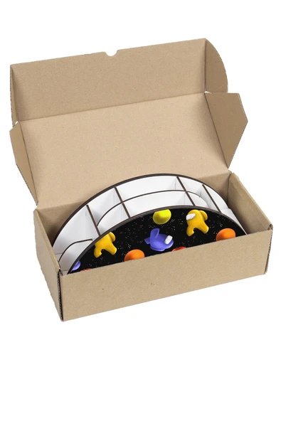 kutuTR Ahşap Vip Emoji Serisi Gökkuşağı Cetvelli Masaüstü Kalemlik Çocuklar Için Organizer Montajlı Kutulu - Resim 7