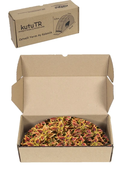 kutuTR Ahşap Vip Yaprak Serisi Gökkuşağı Cetvelli Masaüstü Kalemlik Organizer Montajlı Kutulu - Resim 8