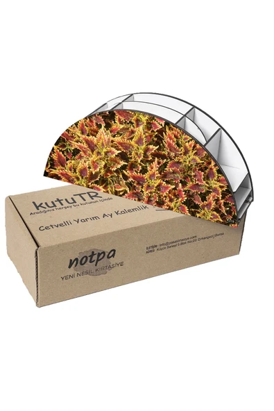 kutuTR Ahşap Vip Yaprak Serisi Gökkuşağı Cetvelli Masaüstü Kalemlik Organizer Montajlı Kutulu - Resim 6