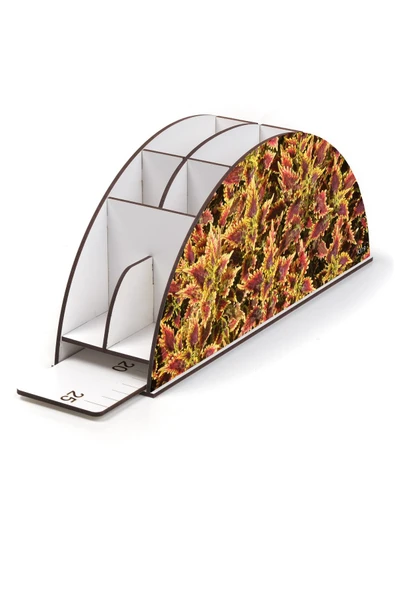 kutuTR Ahşap Vip Yaprak Serisi Gökkuşağı Cetvelli Masaüstü Kalemlik Organizer Montajlı Kutulu - Resim 3