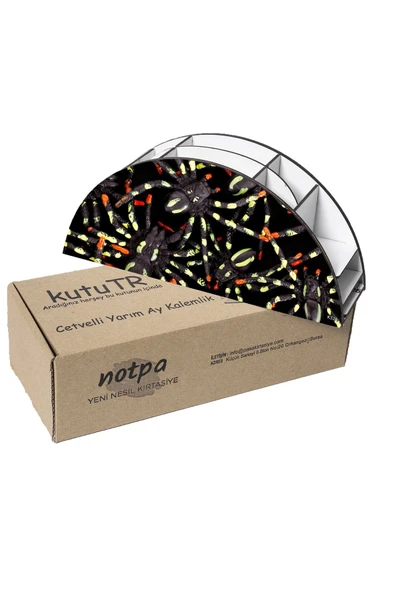kutuTR Ahşap Vip Mini Animals Gökkuşağı Cetvelli Masaüstü Kalemlik Organizer Montajlı Kutulu - 6