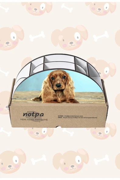 Notpa Ahşap Vip Uzun Kulak Köpek Gökkuşağı Cetvelli Masaüstü Kalemlik Organizer Vip128 - Resim 5