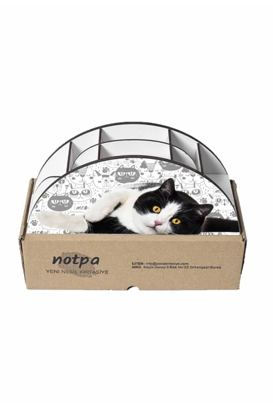 Notpa Ahşap Vip Siyah Beyaz Kedi Gökkuşağı Cetvelli Masaüstü Kalemlik Organizer Vip125 - Resim 7