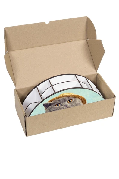 Notpa Ahşap Vip Şapkalı Kedi Gökkuşağı Cetvelli Masaüstü Kalemlik Organizer Vip124 - Resim 7