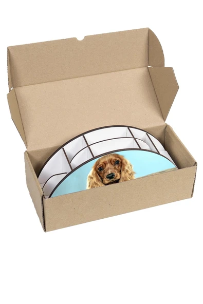 Notpa Ahşap Vip Uzun Kulak Köpek Gökkuşağı Cetvelli Masaüstü Kalemlik Organizer Vip128 - Resim 6