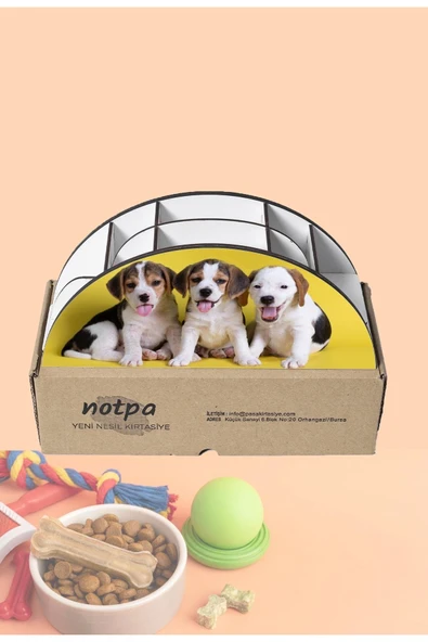 Notpa Ahşap Vip Yavru Köpekler Gökkuşağı Cetvelli Masaüstü Kalemlik Organizer Vip129 - Resim 5