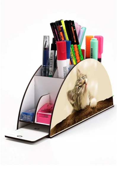 Notpa Ahşap Vip Kedi Gökkuşağı Cetvelli Masaüstü Kalemlik Organizer Vip123 ürün görseli 1