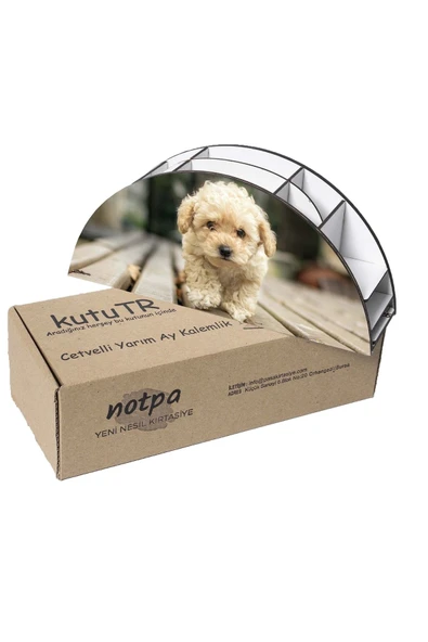 Notpa Ahşap Vip Terrier Köpek Gökkuşağı Cetvelli Masaüstü Kalemlik Organizer Vip131 - Resim 5