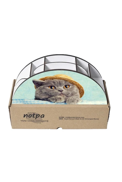 Notpa Ahşap Vip Şapkalı Kedi Gökkuşağı Cetvelli Masaüstü Kalemlik Organizer Vip124 - Resim 5