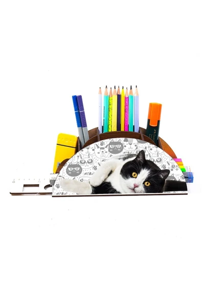 Notpa Ahşap Siyah Beyaz Kedi Gökkuşağı Cetvelli Masaüstü Kalemlik Kutu Çocuklar Için Organizer Gk125 - Resim 4