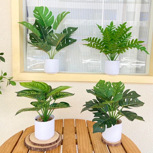 Taş Saksıda Yapay Yeşil Bonsai - Dörtlü Kombinasyon