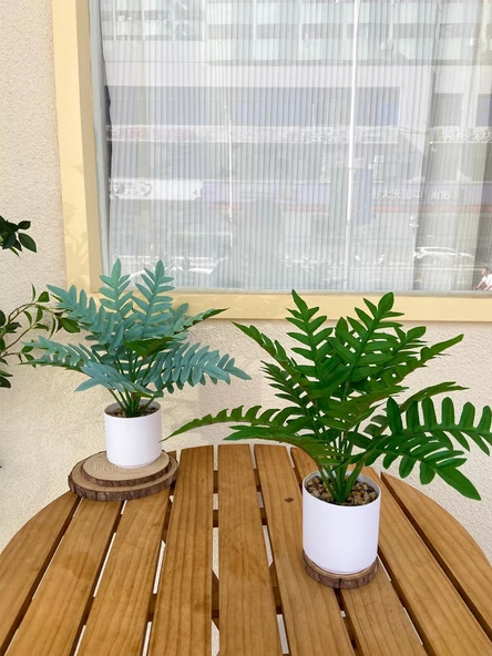 Taş Saksıda Yapay Yeşil Bonsai - Kaplumbağa Sırtı Yaprağı (Yüksek + Alçak) - Resim 3