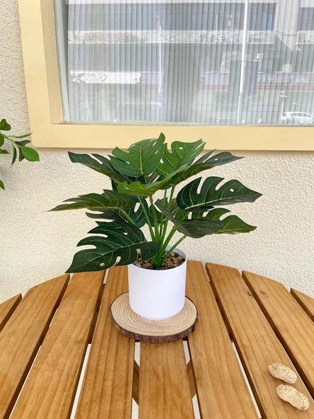 Taş Saksıda Yapay Yeşil Bonsai - Kaplumbağa Sırtı Yaprağı (Yüksek + Alçak) - Resim 6