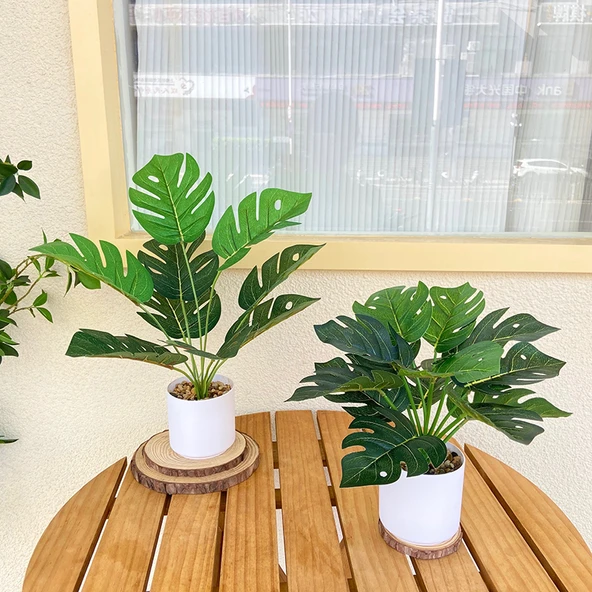 Taş Saksıda Yapay Yeşil Bonsai - Kaplumbağa Sırtı Yaprağı (Yüksek + Alçak) - Resim 10