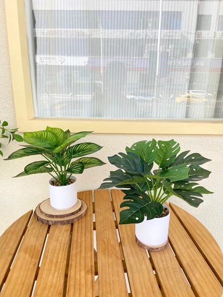 Taş Saksıda Yapay Yeşil Bonsai - Kaplumbağa Sırtı Yaprağı (Yüksek + Alçak) - Resim 4