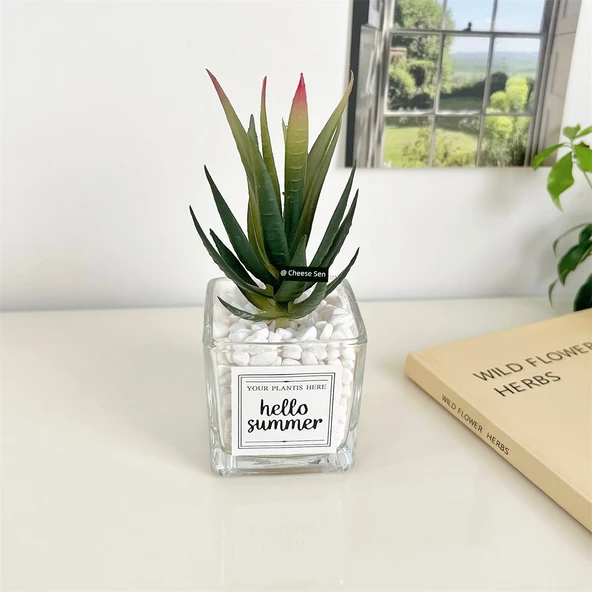 Yapay Sukulent Bitki - Aloe Vera + Küçük Kare Cam