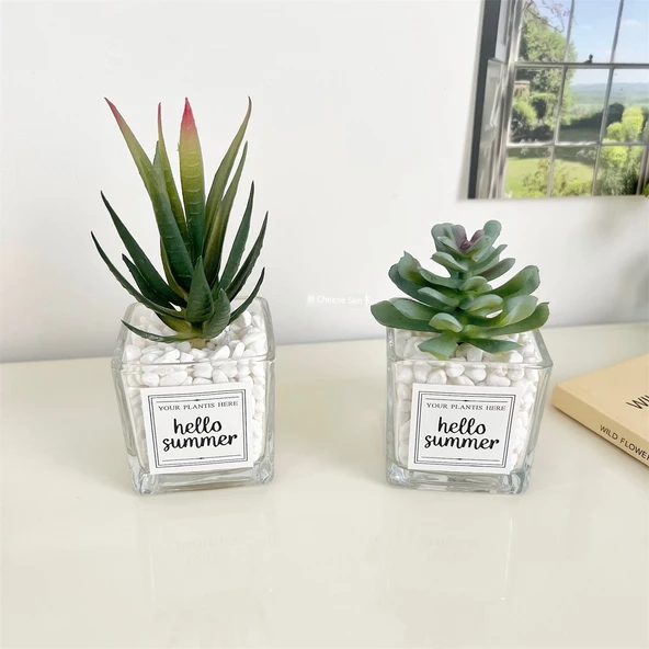 Yapay Sukulent Bitki - Tata Lotus + Aloe