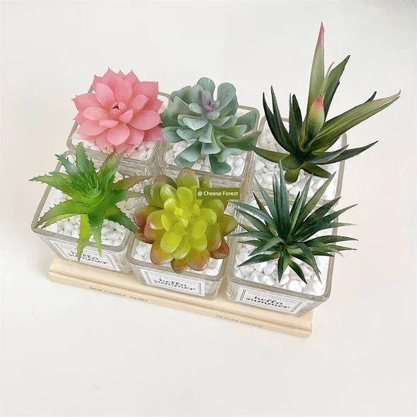Yapay Sukulent Bitki - Aloe Vera + Küçük Kare Cam - 10