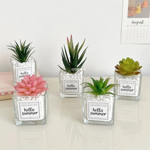 Yapay Sukulent Bitki - Aloe Vera + Küçük Kare Cam - 4