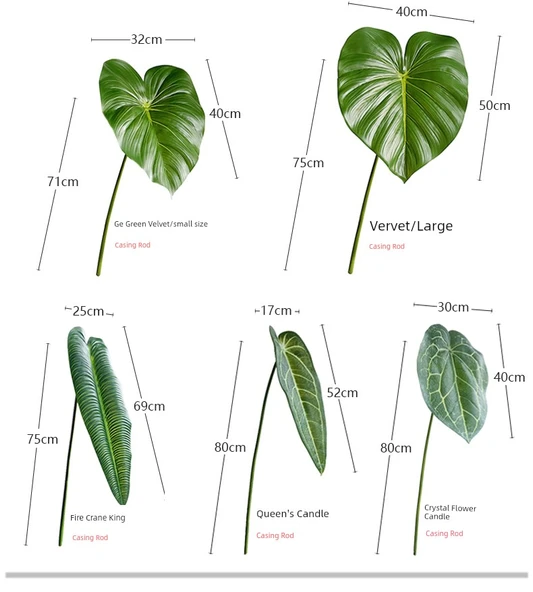 Yaprak Duvar Dekoru - Ateş Vinç Kralı / Kamuflaj Yeşil - Resim 8