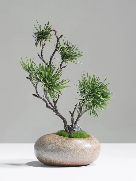 Seramik Vazoda Yapay Çam Bonsai - Siyah Çiçekli - 2