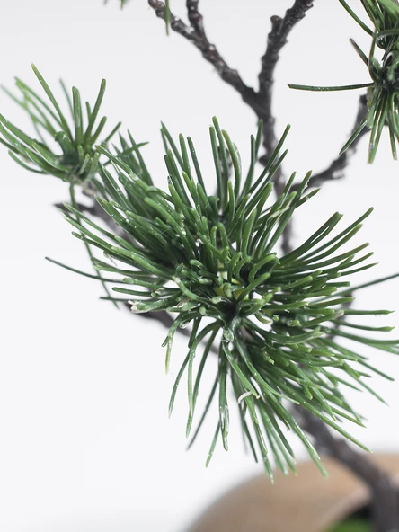 Seramik Vazoda Yapay Çam Bonsai - Siyah Çiçekli - 5