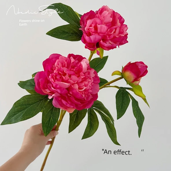 Simülasyon Şakayık Çiçeği - Gül 1/D Şakayık - Resim 7