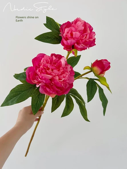 Simülasyon Şakayık Çiçeği - Gül 1/D Şakayık - Resim 2