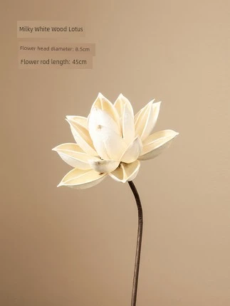 Doğal Kurutulmuş Çiçekler - Süt Beyazı Ahşap Lotus