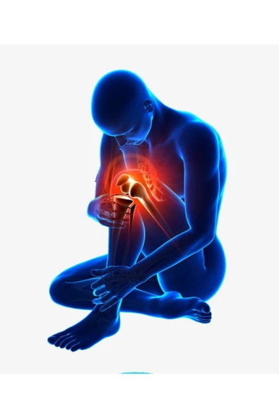 Bedensiz Patella Destekli Dizlik Patella - 2