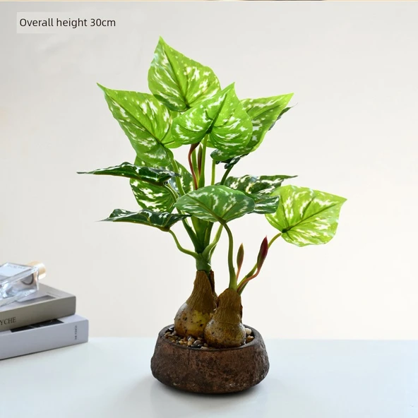 Bahar Yağmuru Yapraklı Bonsai - Kağıt Saksı - 20243492