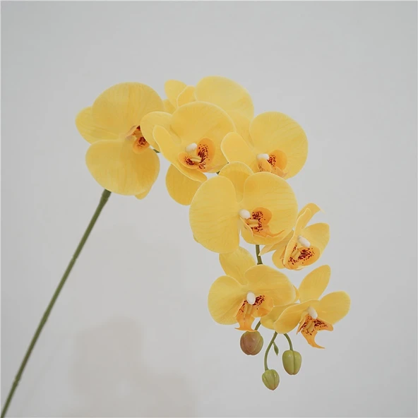 Yapay Phalaenopsis Orkide Çiçeği - Sarı