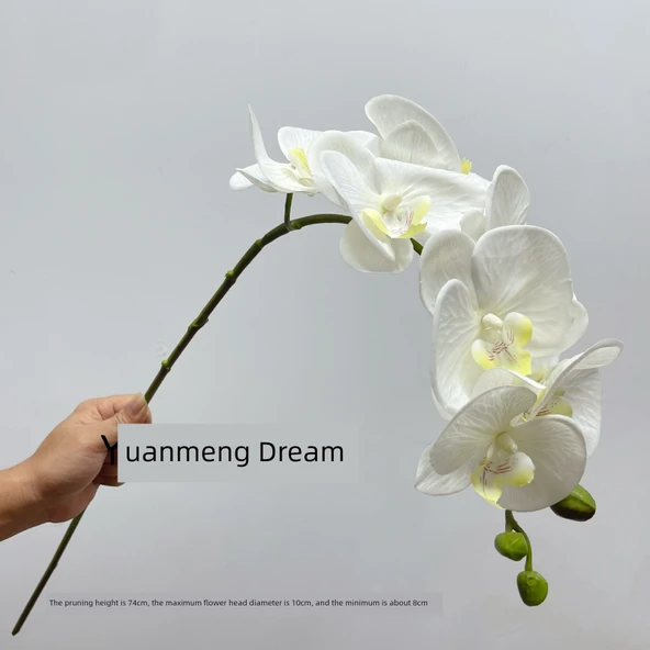 Yapay 7 Başlıklı Yumuşak Dokulu Phalaenopsis Orkide Çiçeği - Beyaz