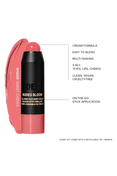 Nudestix Mini Kit Sweet Cheeks Makyaj Seti - Resim 6