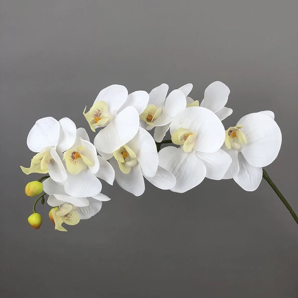 Yapay 9 Başlıklı Film Phalaenopsis Orkide Çiçeği - Açık Mor - 5