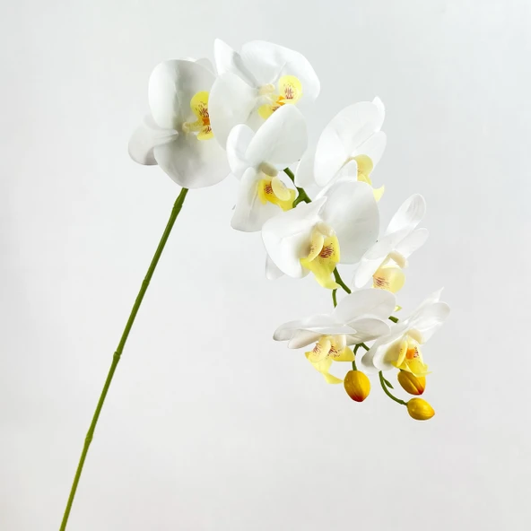 Yapay 9 Başlıklı Film Phalaenopsis Orkide Çiçeği - Açık Mor - 6